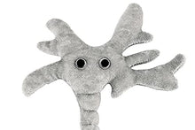 Load image into Gallery viewer, GIANT MICROBES Brain Cell Plush
