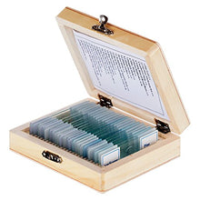 Load image into Gallery viewer, Prepared Microscope Slides with Wooden Case
