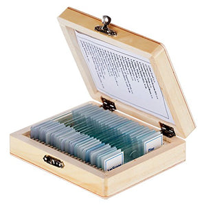 Prepared Microscope Slides with Wooden Case