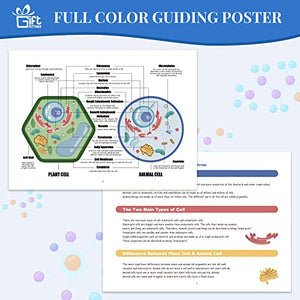 Fun Biology for Kids!