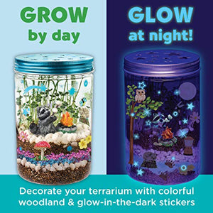 Grow 'N Glow Terrarium Kit