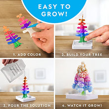 Load image into Gallery viewer, NATIONAL GEOGRAPHIC Crystal Growing Kit
