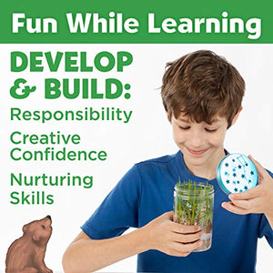 Grow 'N Glow Terrarium Kit