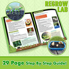 Load image into Gallery viewer, ReGrow Science Kit for Kids
