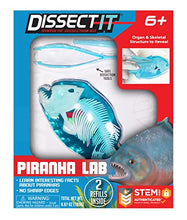 Load image into Gallery viewer, Dissect-It Piranha
