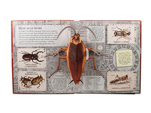 Bugs: A Stunning Pop-up Look at Insects, Spiders, and Other Creepy-Crawlies