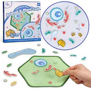 Fun Biology for Kids!