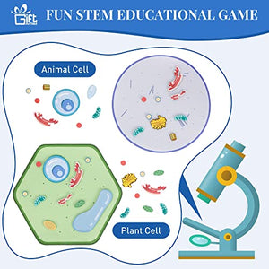 Fun Biology for Kids!