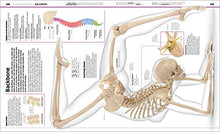 Load image into Gallery viewer, Explore the Human Body with DK&#39;s Knowledge Encyclopedia!
