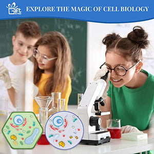 Fun Biology for Kids!