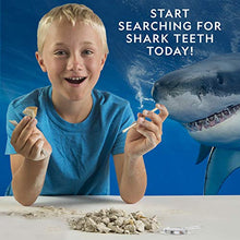 Load image into Gallery viewer, Shark Tooth Dig Kit, Excavate 3 Real Shark Fossils
