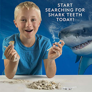 Shark Tooth Dig Kit, Excavate 3 Real Shark Fossils