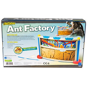 Educational Insights Ant Factory Kit