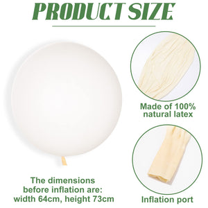 Large Weather Balloon