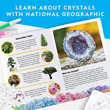 Load image into Gallery viewer, NATIONAL GEOGRAPHIC Crystal Growing Kit
