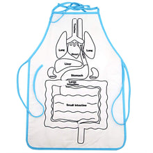 Load image into Gallery viewer, Anatomy Apron
