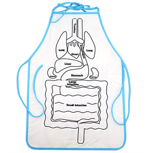 Anatomy Apron