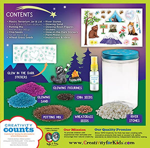 Grow 'N Glow Terrarium Kit