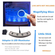 Load image into Gallery viewer, Ant Farm Habitat for Kids W/LED Light – Great Educational &amp; Science Kit
