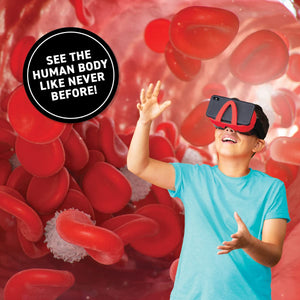 Virtual Reality Anatomy Set