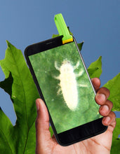 Load image into Gallery viewer, Outdoor Science Lab Kit: Bugs, Dirt, &amp; Plants Exploration
