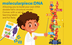 Molecularpiece 4D STEM Toy