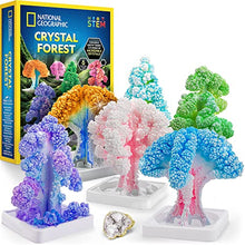 Load image into Gallery viewer, NATIONAL GEOGRAPHIC Crystal Growing Kit
