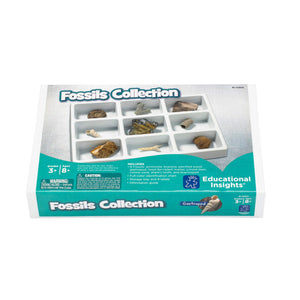 Authentic Fossil Collection Kit