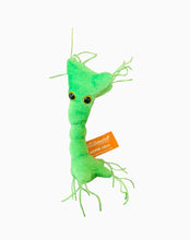 Load image into Gallery viewer, Microbial Plush Set
