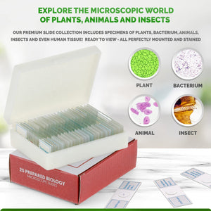 25pc Prepared Microscope Slides Set