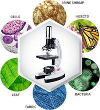 Load image into Gallery viewer, Beginner Compound Microscope Kit
