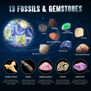 Earth Gemstone and Fossils Dig Kit