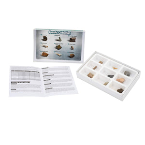 Authentic Fossil Collection Kit