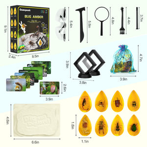 Amber Dig Kit for Kids