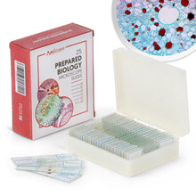 Load image into Gallery viewer, 25pc Prepared Microscope Slides Set
