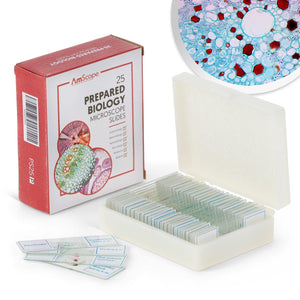 25pc Prepared Microscope Slides Set