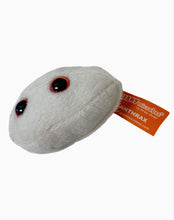 Load image into Gallery viewer, GIANT MICROBES Biohazards Set
