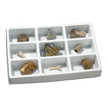 Load image into Gallery viewer, Authentic Fossil Collection Kit
