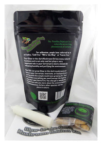 Mushroom Glow in The Dark Growing Habitat Kit Project