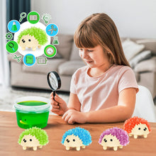 Load image into Gallery viewer, Crystal Growing Kit - Hedgehog, STEM Toy Ages 8-12 by sdaymol
