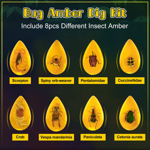 Amber Dig Kit for Kids