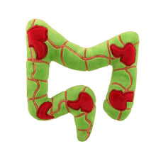 Load image into Gallery viewer, GIANT MICROBES Crohn&#39;s &amp; Colitis Plush
