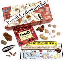 Load image into Gallery viewer, Fossil Collection Kit
