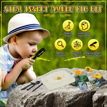 Load image into Gallery viewer, Amber Dig Kit for Kids
