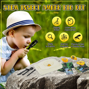 Amber Dig Kit for Kids