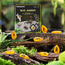 Load image into Gallery viewer, Amber Dig Kit for Kids
