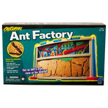 Load image into Gallery viewer, Educational Insights Ant Factory Kit
