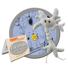 Load image into Gallery viewer, GIANT MICROBES Brain Cell Plush
