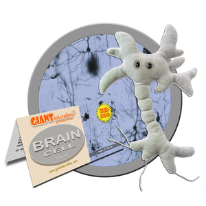 GIANT MICROBES Brain Cell Plush