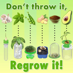 ReGrow Science Kit for Kids